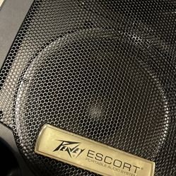 Peavy Escort 300 sound system 