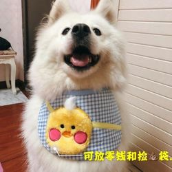 Dog  big Blue color
