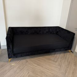 Black Velvet Twin Daybed W/Gold Legs