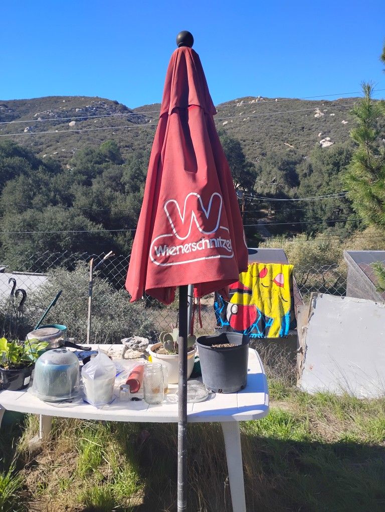 Speaker/BBQ/Beach Cruisers/Collectables