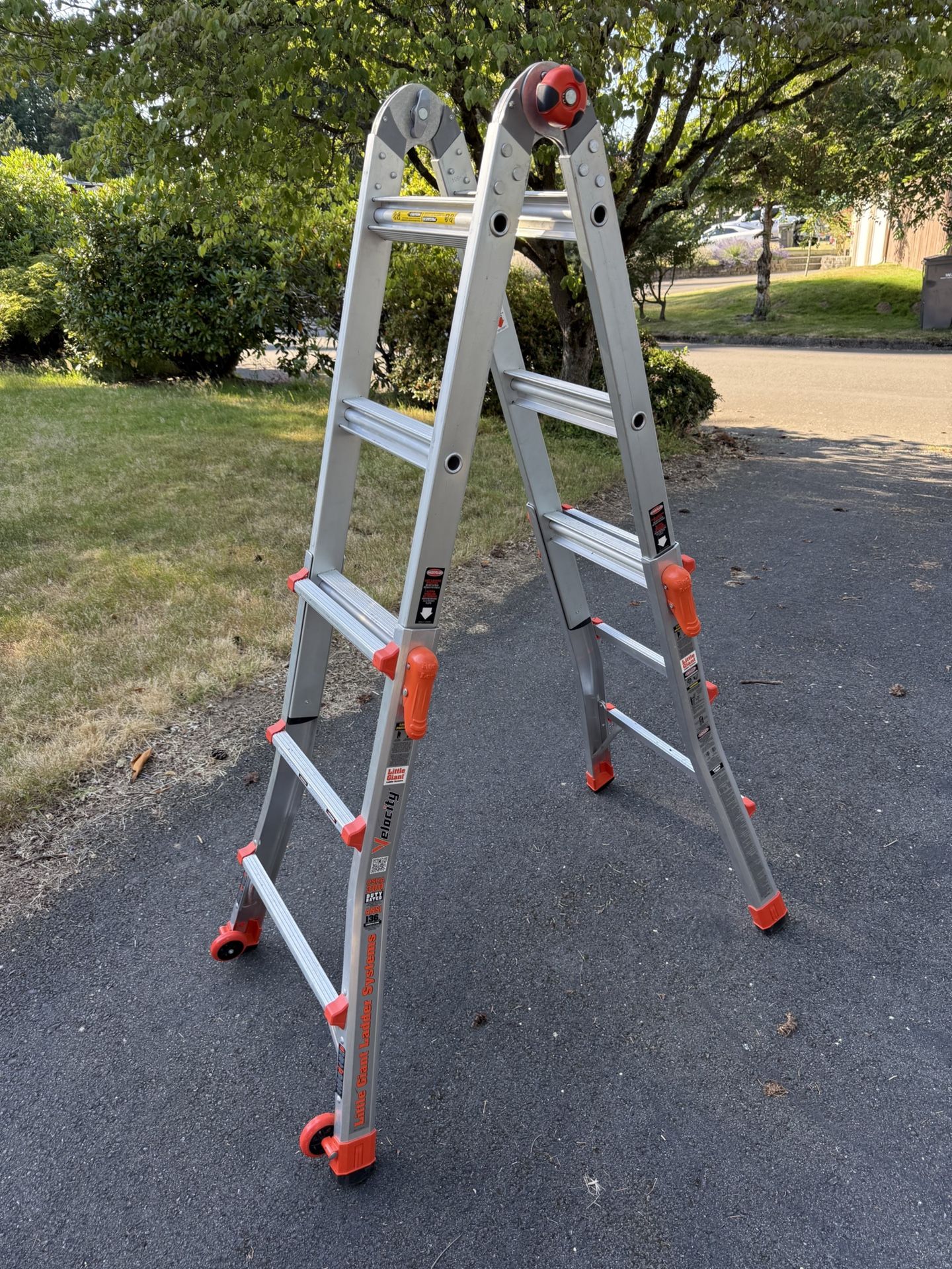 Ladder