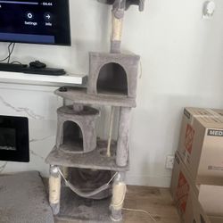 Cat Tree For Sale $40