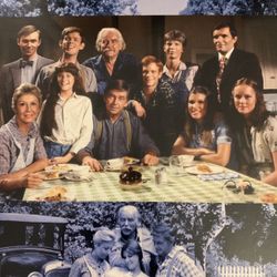 The WALTONS The Complete 6th Season (DVD-1977)