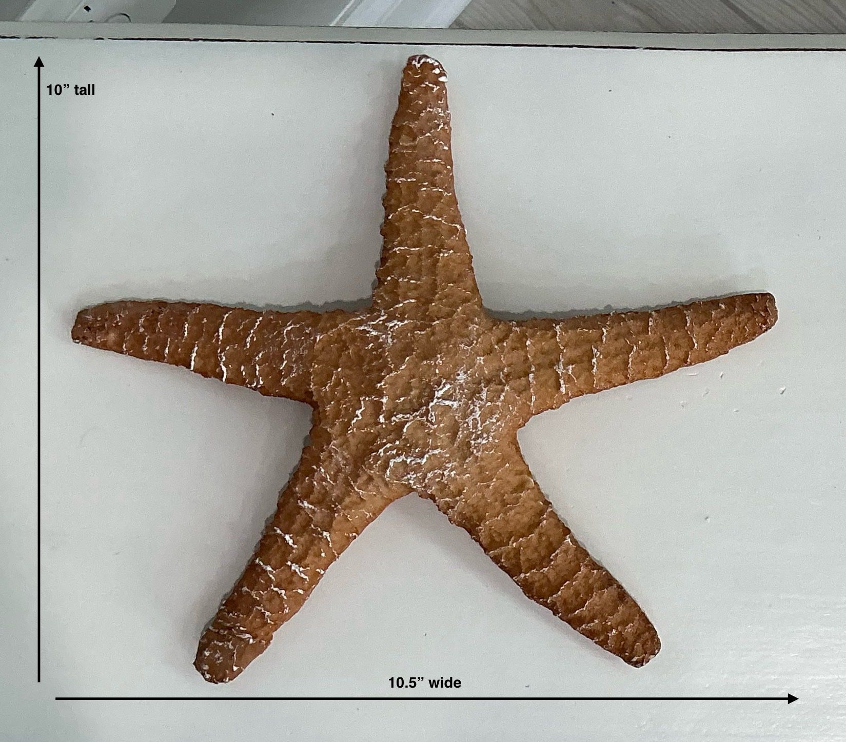 Shabby Terracotta & White Hanging Resin Starfish