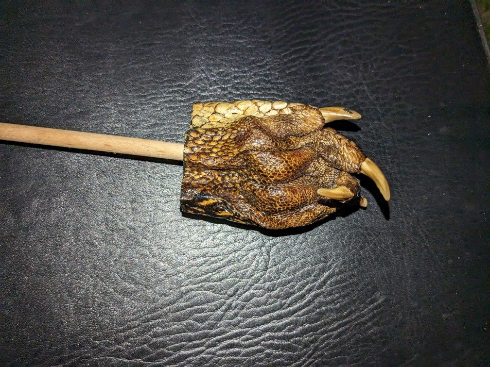Rare Alligator Paw