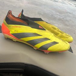 Adida predetors