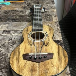 D'Angelico Montauk Soprano Ukulele Spalted Mango Natural