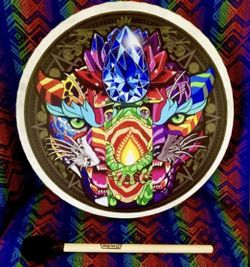 Remo Buffalo Hand Drum Medicine Ceremony Shamanic Drum