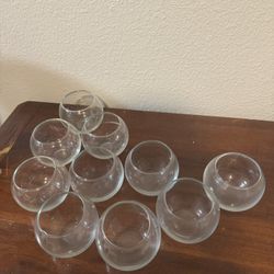 Mini terrariums for wedding, propagation, plants, decor