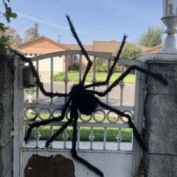 60 inch Hairy Giant Black Spider Decoration Halloween Prop Haunted House Decor Party Huge Big Large Spider Yard Halloween Party Decoration