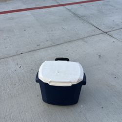 Coleman Cooler
