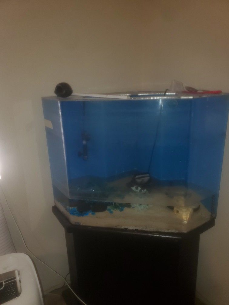 Fish Tank