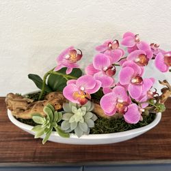 Flower Arrangement Succulents 