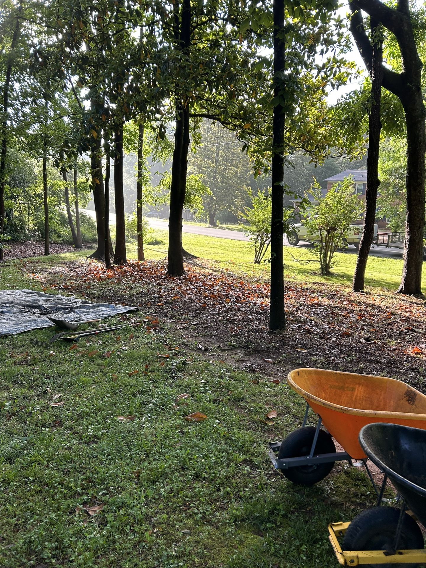 Mulch Installation