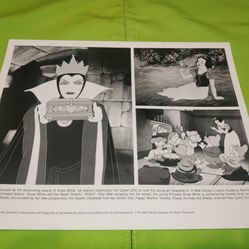 Vintage Disney Press Release Picture