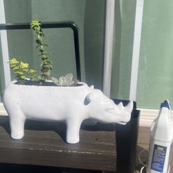 Rhino Succulent Planter 