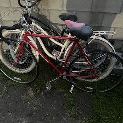 Schwinn Caliente