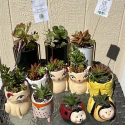 Teacher Appreciate Gifts