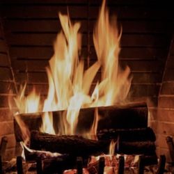 Firewood 