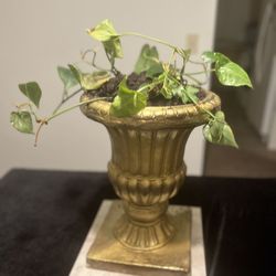 Beautiful Heavy Antique Gold Bird Bath Converted into A Planter for you or a Special Person 