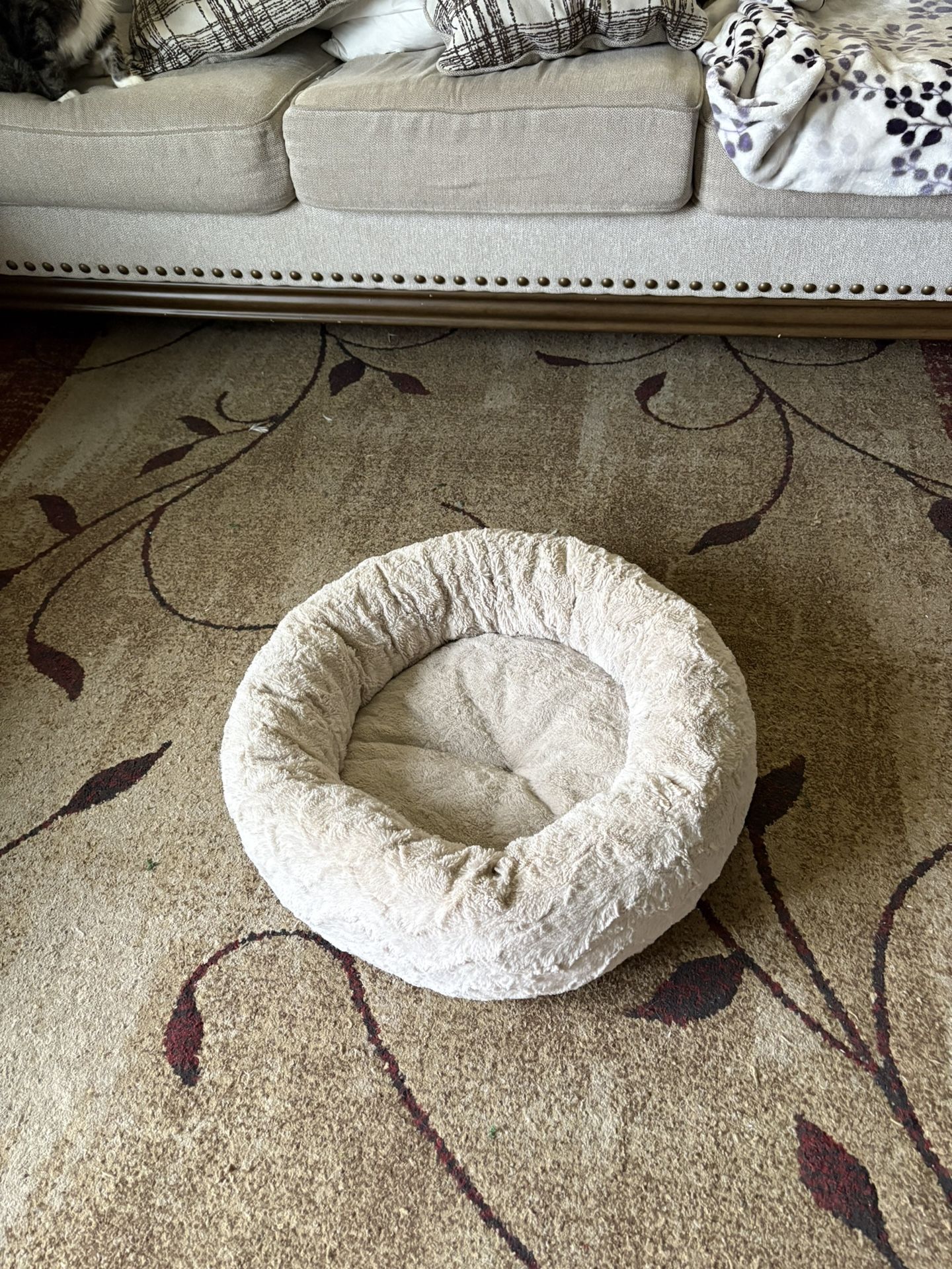 Pet Bed