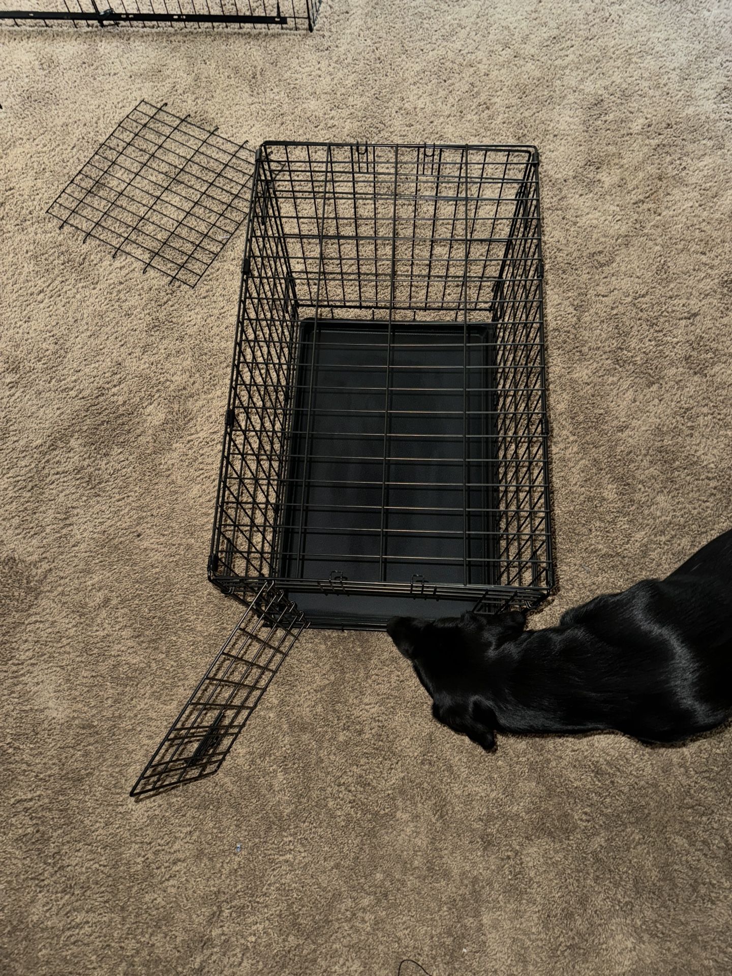Dog Crate/Puppy/small