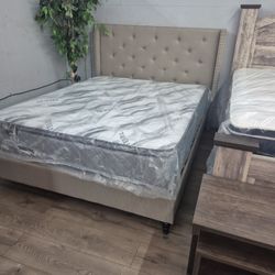 Beige Queen Bed Frame - New Furniture 