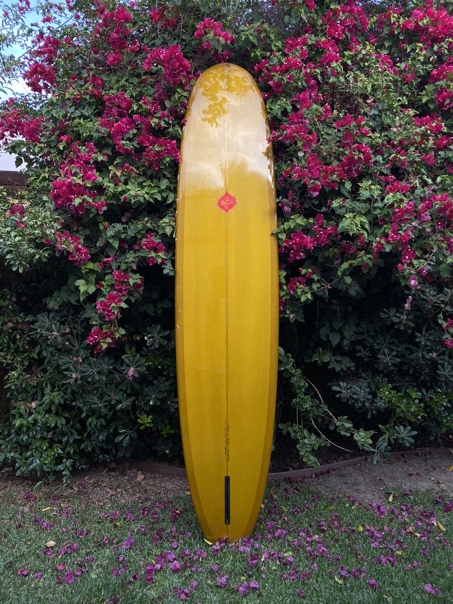 9’0” Surfboard by Michel Junod and Thomas Campbell