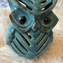 Turquoise Owl 