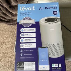 Eleftronic Air Purifier 