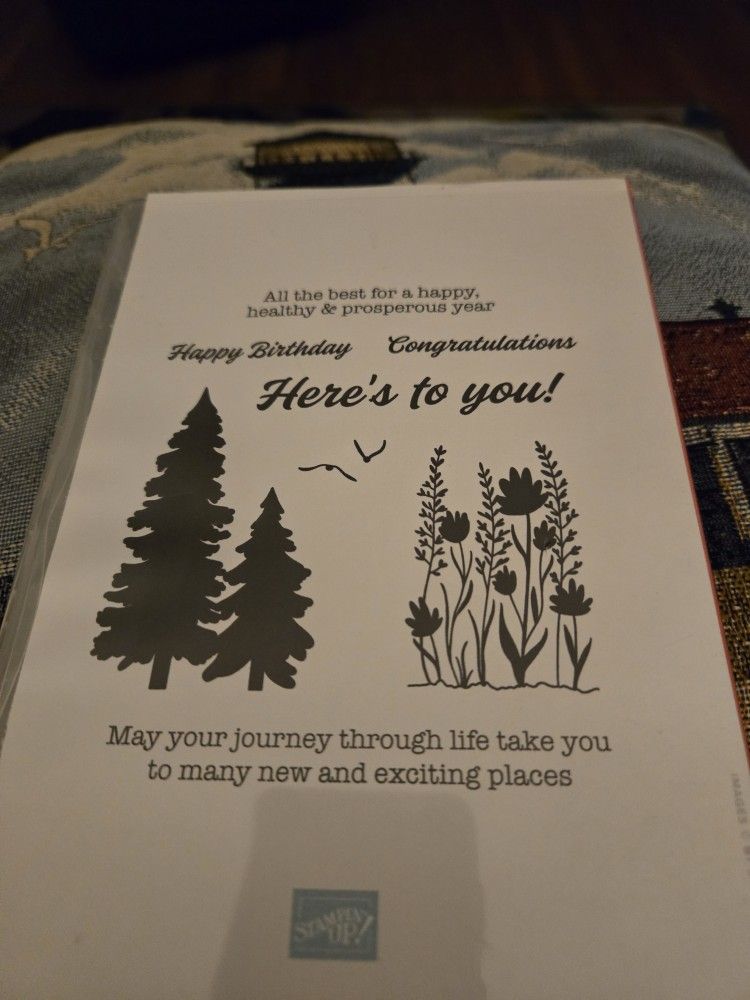 Stampin Up Here's To You