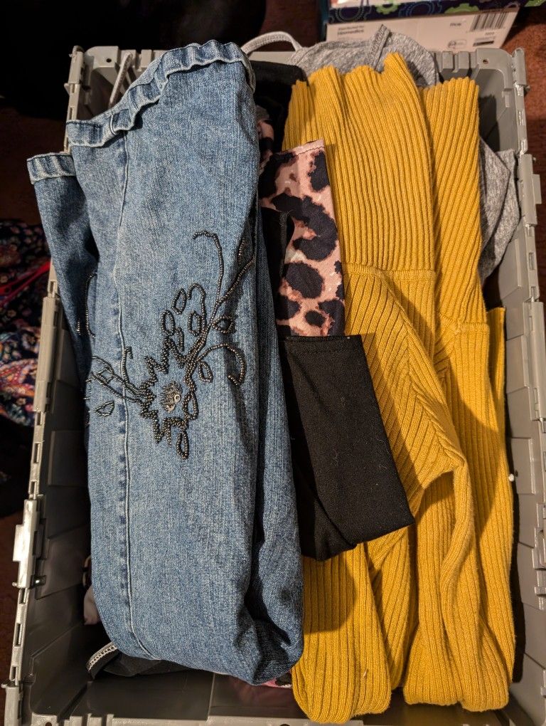 Women's Clothing 