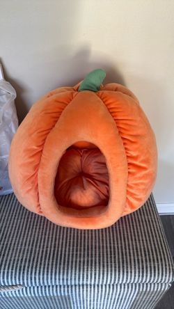 Pet bed