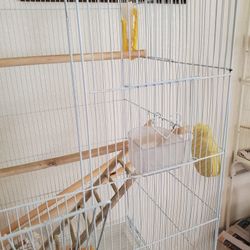 Bird Cage Stand And Accessories