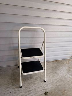 Mini ladder $10