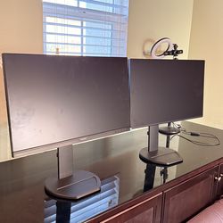 Two 24 inch digital monitors