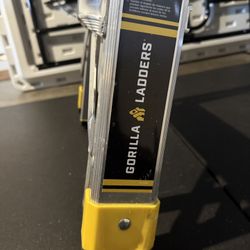 Gorilla Ladder 