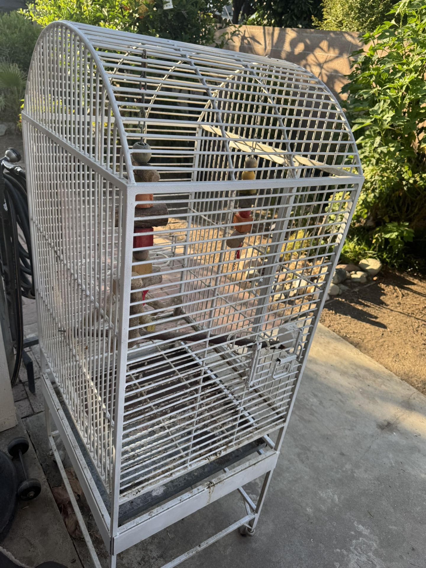 Bird Cage