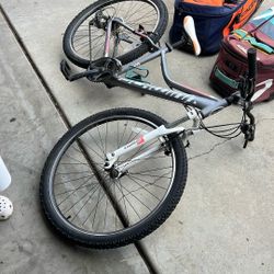 Girls Schwinn Mountain Bike