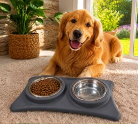 New in Box Feeder For Your Dogs And Casts