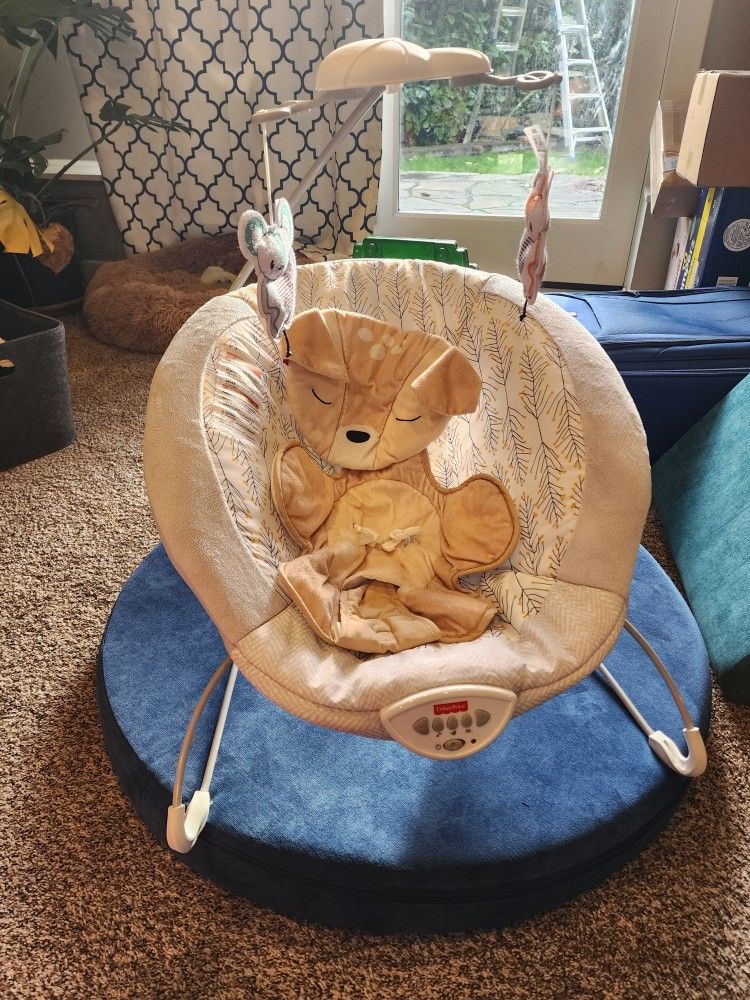 Fisher Price Bouncer
