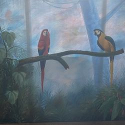 Macaw Hand Painting Birds Love Couple Reptiles Snakes Lizards 4ft X 3Ft Tropical Buy Sale Trade Gold Silver Art