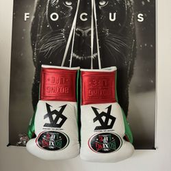 No Boxing No Life canelo Boxing Gloves 