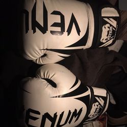 Venum Boxing Gloves 