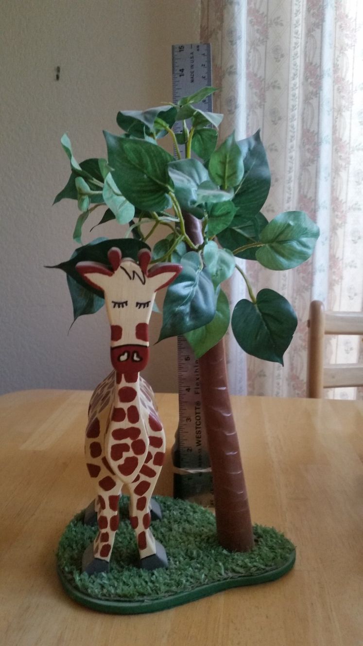 Giraffes
