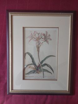 Flora Pics