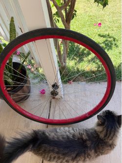 Fixie rim with tire and tube