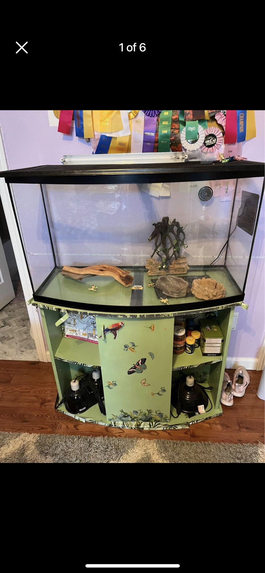 20 Gallon Reptile Tank With Lights And Accessories