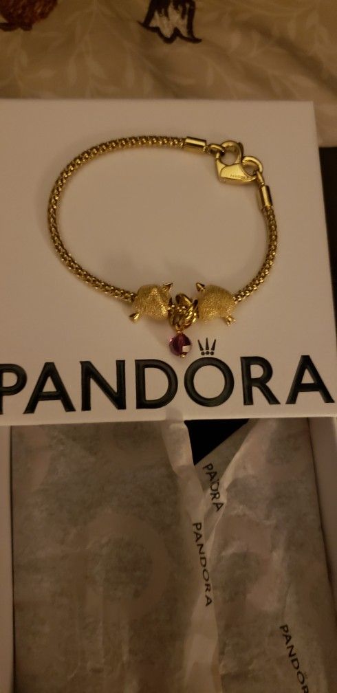 Pandora Bracelet 