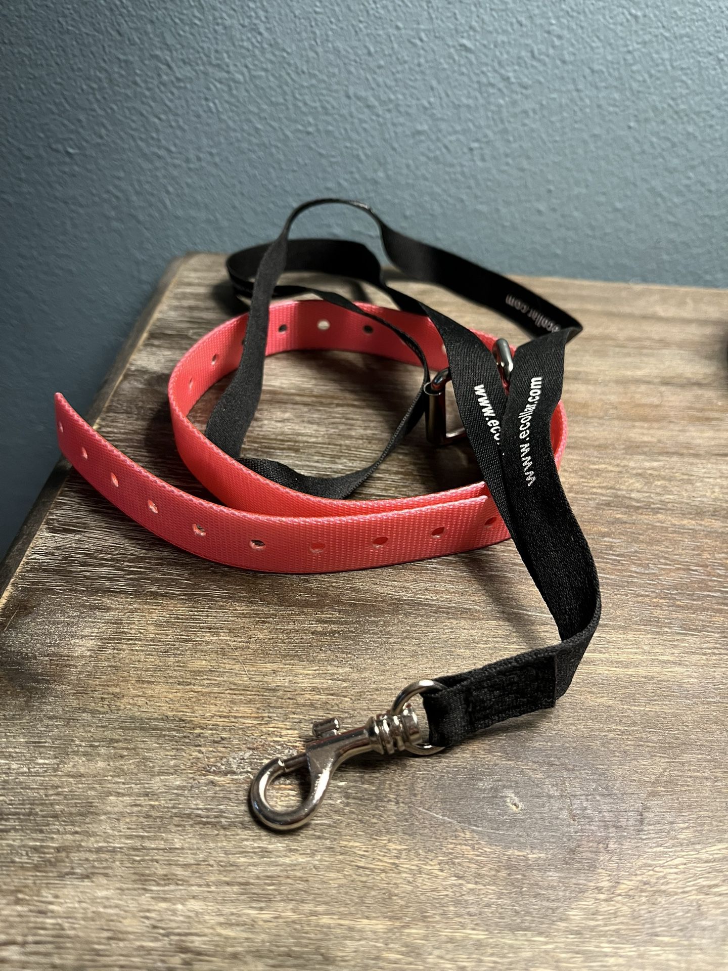 Dog E-collar And Remote Strap